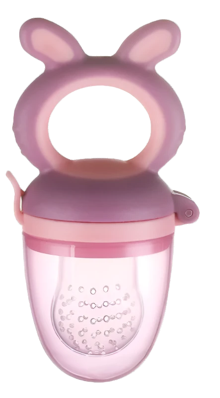 Silicone Fruit Feeder Pacifier | REBORN WONDERS